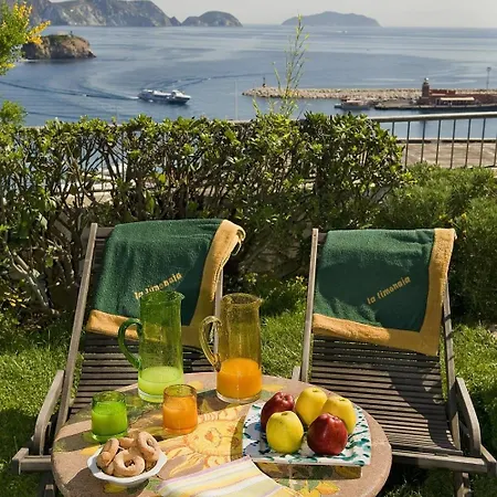 La Limonaia A Mare 게스트하우스